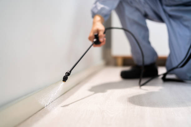 Licensed Rodent Control service in Piqua, OH - Nex Pest Control