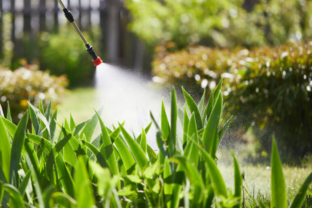 24/7 Emergency Rodent Control experts in Piqua, OH