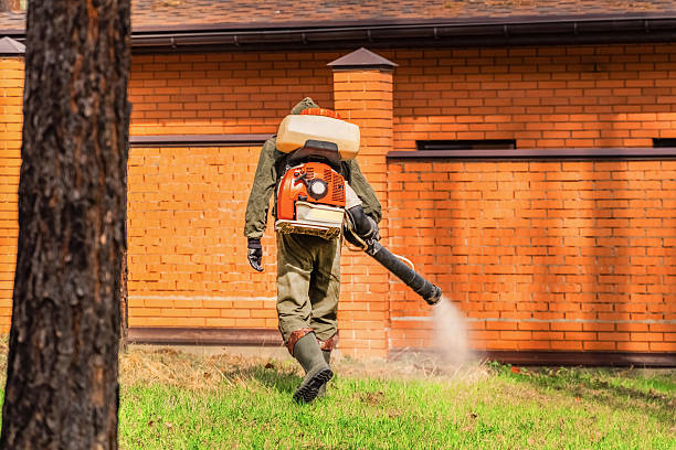 Trusted Termite Control service in Piqua, OH - Nex Pest Control